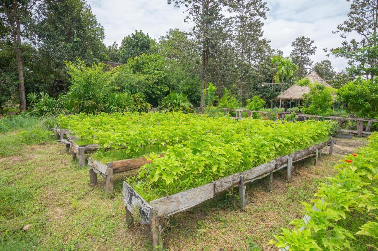 Bong Thom Forest Lodge Siem Reap Zewnętrze zdjęcie